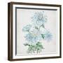 Delicate Botanical Blue II-Alex Black-Framed Art Print