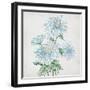 Delicate Botanical Blue II-Alex Black-Framed Art Print