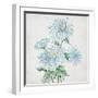 Delicate Botanical Blue II-Alex Black-Framed Art Print