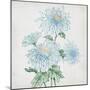 Delicate Botanical Blue II-Alex Black-Mounted Art Print