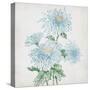 Delicate Botanical Blue II-Alex Black-Stretched Canvas