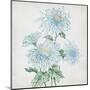 Delicate Botanical Blue II-Alex Black-Mounted Art Print