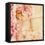 Delicate Butterly and Flowers-Myan Soffia-Framed Stretched Canvas