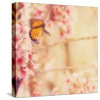 Delicate Butterly and Flowers-Myan Soffia-Stretched Canvas