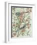 Delicate Chinoiserie IV-Melissa Wang-Framed Art Print