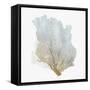 Delicate Coral I-Isabelle Z-Framed Stretched Canvas