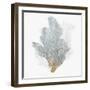 Delicate Coral II-Isabelle Z-Framed Art Print