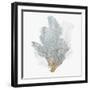 Delicate Coral II-Isabelle Z-Framed Art Print