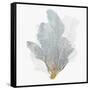 Delicate Coral II-Isabelle Z-Framed Stretched Canvas