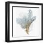 Delicate Coral III-Isabelle Z-Framed Art Print