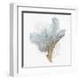 Delicate Coral III-Isabelle Z-Framed Art Print