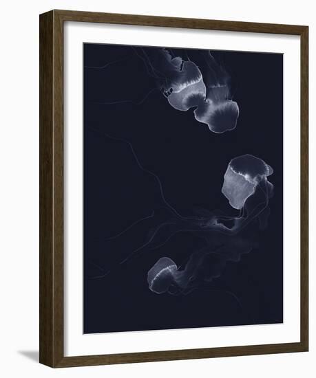 Delicate Dive - Float-Kristine Hegre-Framed Giclee Print