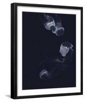 Delicate Dive - Float-Kristine Hegre-Framed Giclee Print