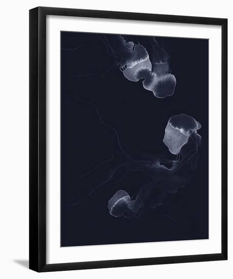 Delicate Dive - Float-Kristine Hegre-Framed Giclee Print