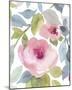 Delicate Floral-Sandra Jacobs-Mounted Giclee Print
