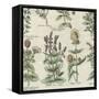 Delicate Garden IV-Vision Studio-Framed Stretched Canvas