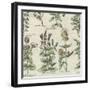 Delicate Garden IV-Vision Studio-Framed Art Print