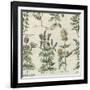 Delicate Garden IV-Vision Studio-Framed Art Print