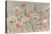 Delicate Garden-Silvia Vassileva-Stretched Canvas