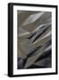 Delicate Gleam - Fold-Michael Banks-Framed Giclee Print