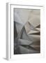 Delicate Gleam - Pleat-Michael Banks-Framed Giclee Print