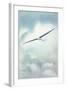 Delicate Glider-null-Framed Art Print