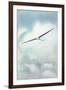 Delicate Glider-null-Framed Art Print