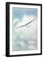 Delicate Glider-null-Framed Art Print
