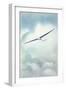 Delicate Glider-null-Framed Art Print