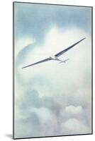 Delicate Glider-null-Mounted Art Print