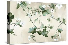 Delicate Green Branches-Eva Watts-Stretched Canvas