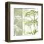 Delicate Greens-Erin Clark-Framed Art Print