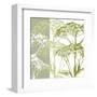 Delicate Greens-Erin Clark-Framed Art Print