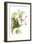 Delicate Hummingbird I-Vision Studio-Framed Art Print