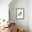Delicate Hummingbird II-Vision Studio-Framed Art Print displayed on a wall
