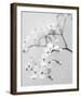 Delicate I-Irene Suchocki-Framed Giclee Print