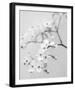 Delicate I-Irene Suchocki-Framed Giclee Print