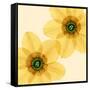 Delicate I-Val Andre-Framed Stretched Canvas
