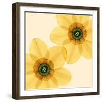 Delicate I-Val Andre-Framed Giclee Print