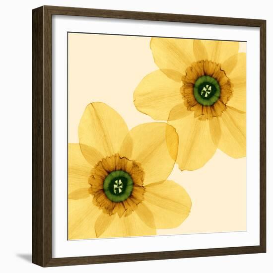 Delicate I-Val Andre-Framed Giclee Print