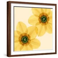 Delicate I-Val Andre-Framed Giclee Print