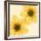 Delicate I-Val Andre-Framed Giclee Print