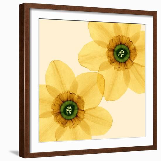 Delicate I-Val Andre-Framed Giclee Print