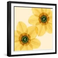 Delicate I-Val Andre-Framed Giclee Print