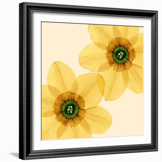 Delicate I-Val Andre-Framed Giclee Print