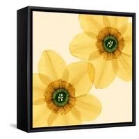 Delicate I-Val Andre-Framed Stretched Canvas