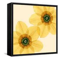 Delicate I-Val Andre-Framed Stretched Canvas