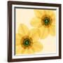 Delicate I-Val Andre-Framed Giclee Print