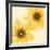 Delicate I-Val Andre-Framed Giclee Print