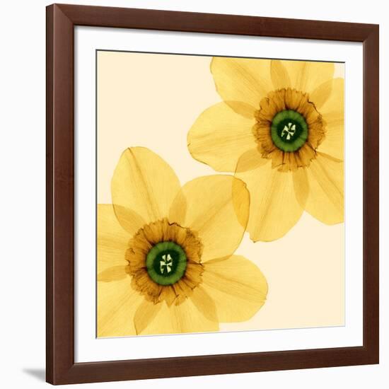 Delicate I-Val Andre-Framed Giclee Print